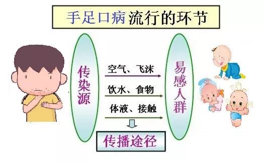 多发生于5岁以下的学龄前儿童传播途径 病毒可通过消化道