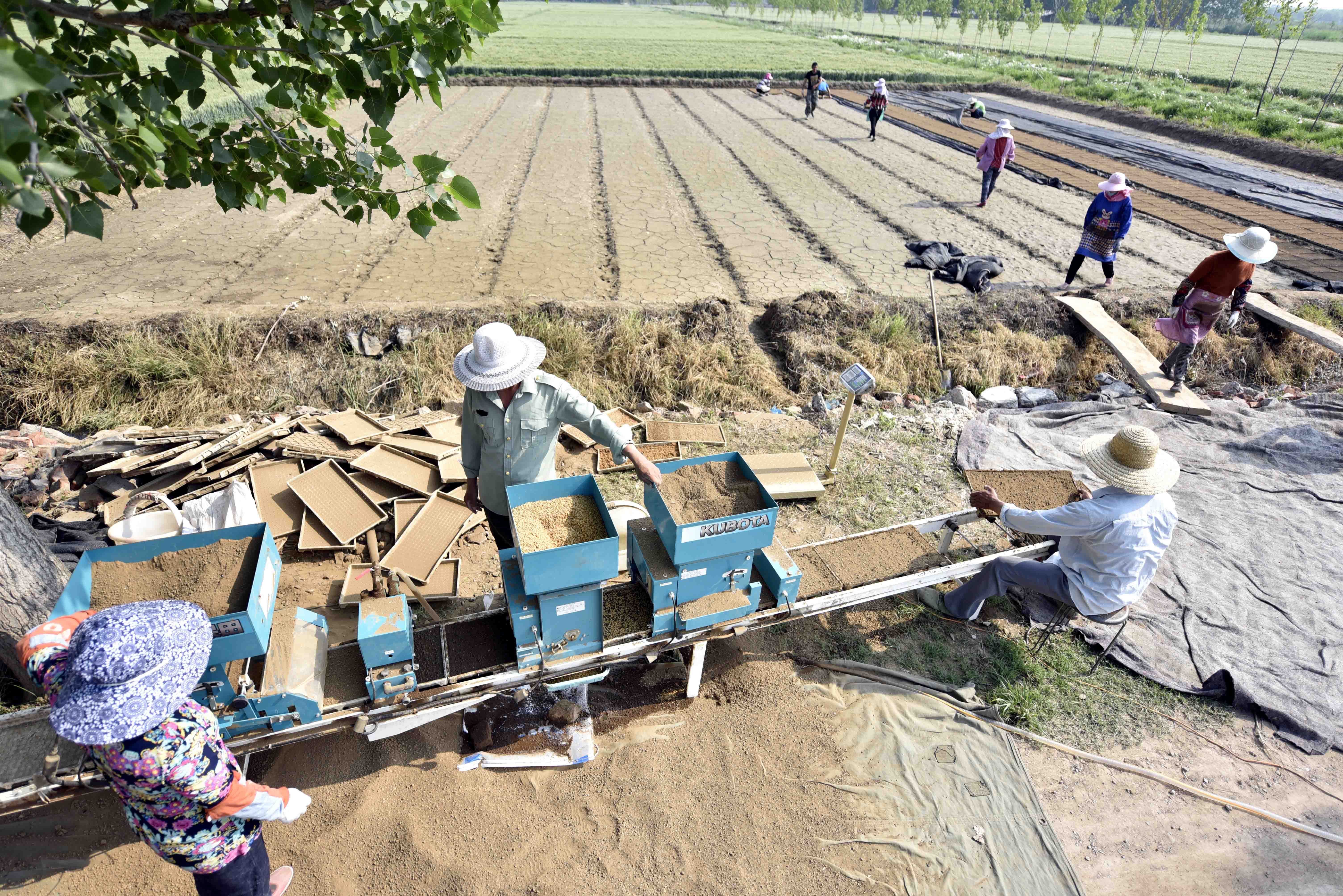 水稻育苗秧盘生产机器图片