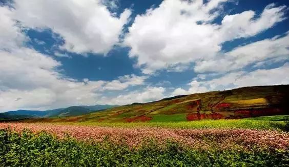 从昆明出发,来一场滇川大环线之旅吧,沿途风景美到炸裂!