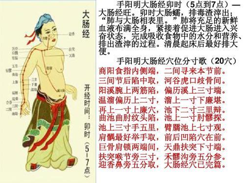 快速記住經絡穴位之手陽明大腸經大腸經的循行病候歌決附針刺艾灸表