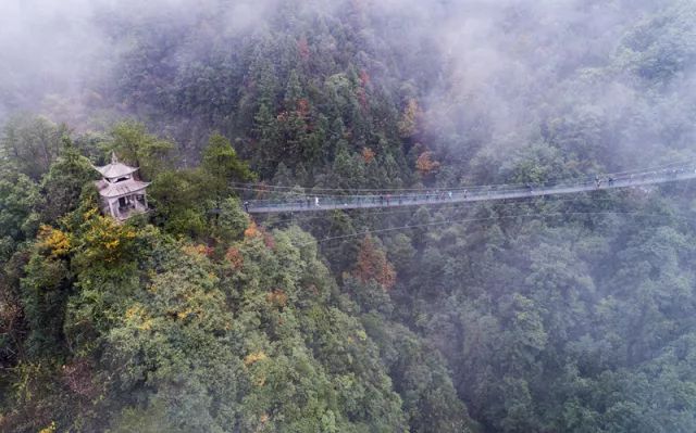 好消息本週六麗水這個aaaa景區將免門票另外還有