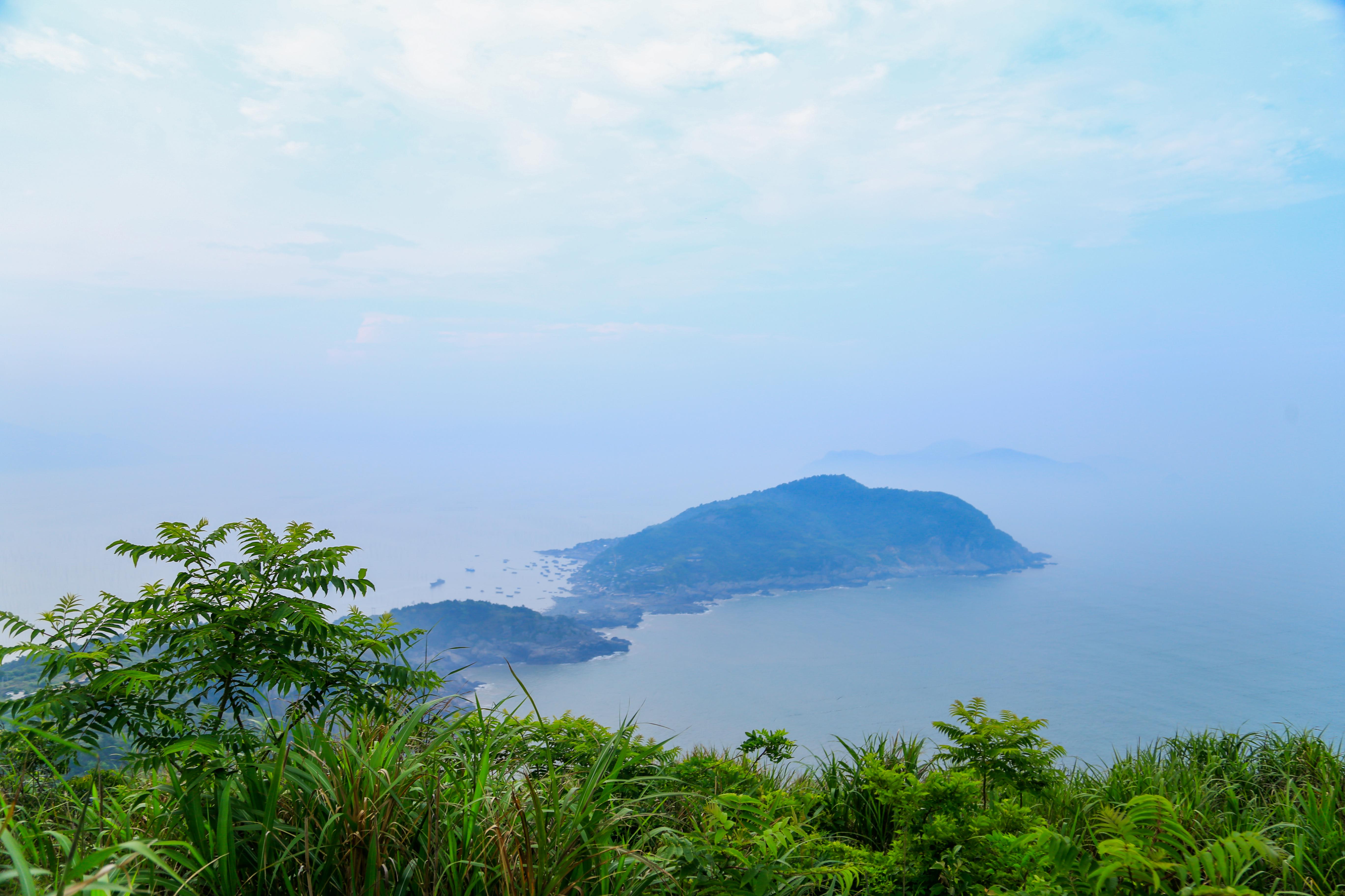 山海苍南棕榈湾,来一场夏日的山海之恋