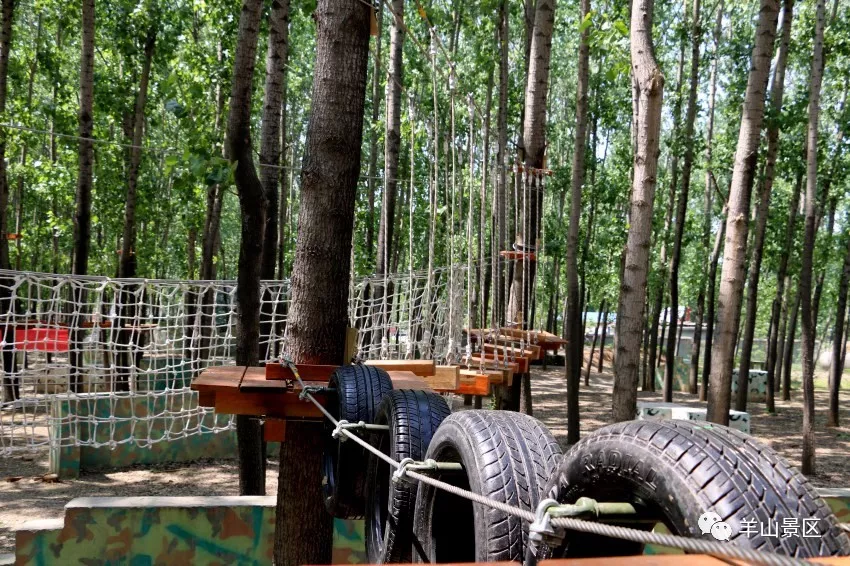 羊山景區軍博園軍事拓展好去處