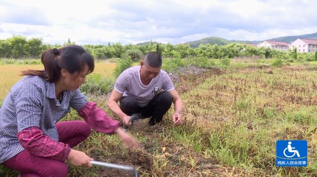 一場車禍改變他的生活軌跡,種植藥材帶他走上致富路