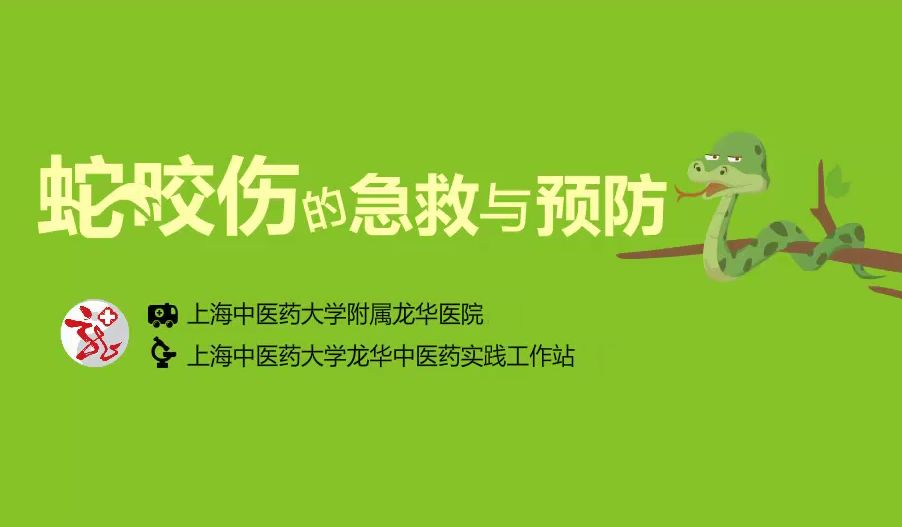 (附動漫視頻教會你蛇咬傷的急救與預防)