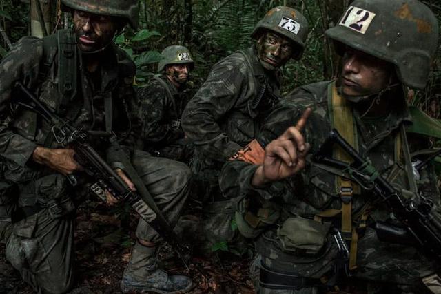 巴西丛林特种部队图片