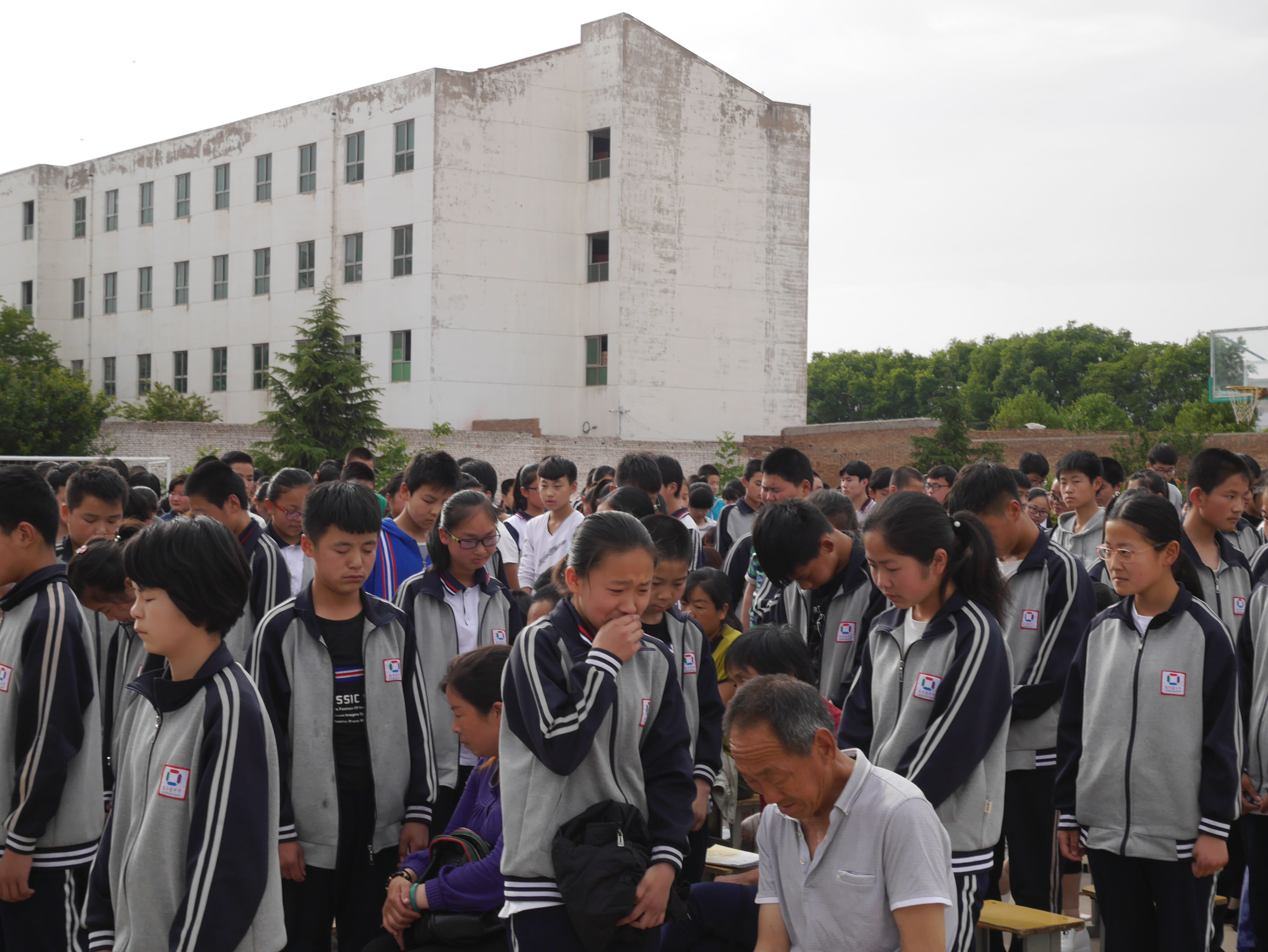 合阳县路井镇中学美篇图片