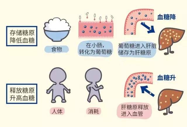 糖尿病吃得越少血糖反而越高