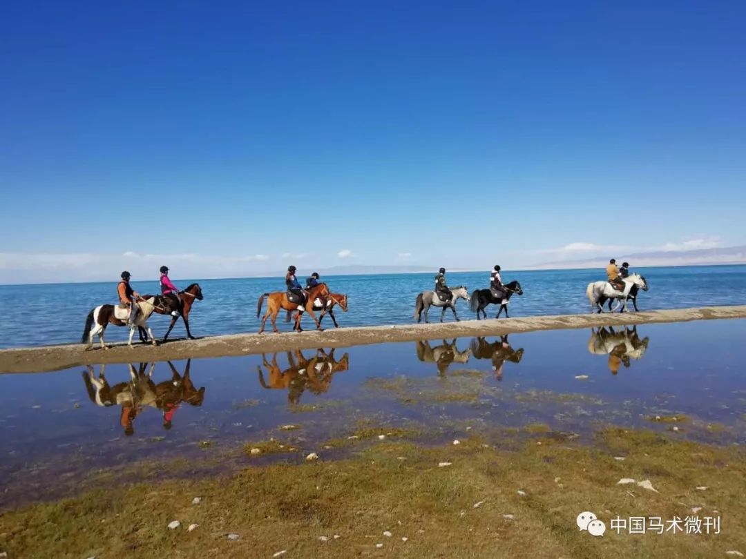 在馬背上丈量祈福者的腳步-青海湖馬背轉湖招募