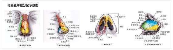 鼻窦病变侵犯及医源性因素所致,如上颌窦肿瘤/黏液囊肿等向上侵犯眶下