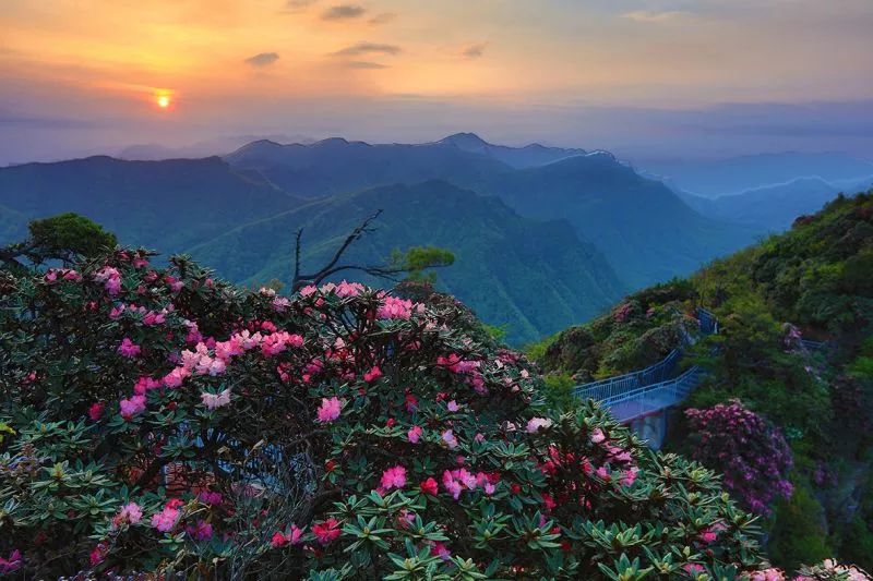 含光霧山景區,米倉山國家森林公園,十八月潭景區)門票原價:光霧山桃園