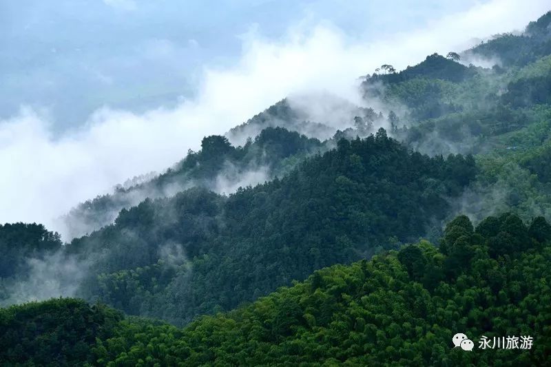 茶山竹海国家森林公园风光旖旎,是国家aaaa级景区.