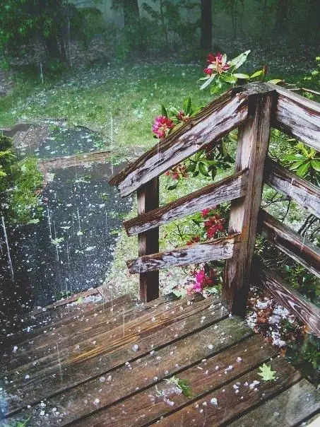 其實生活就是一場雨,有傘就能平安度過,沒有傘,就會被雨淋成落湯雞