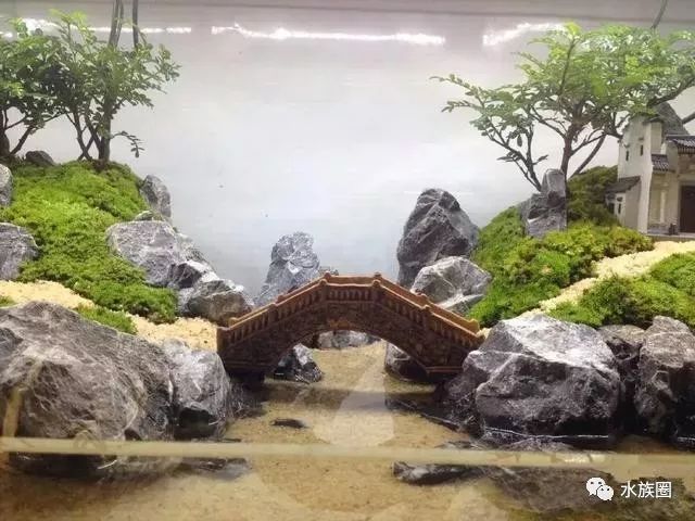 小桥流水人家的水陆缸造景教程