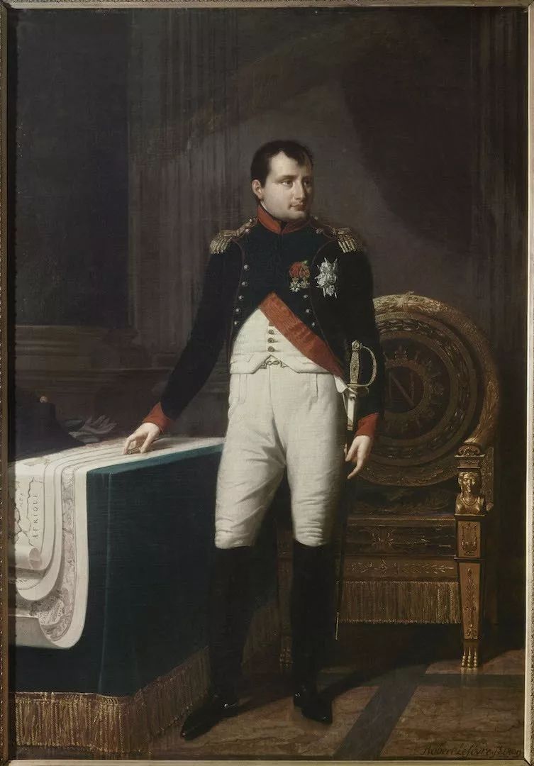 拿破仑的丁丁命根子图片