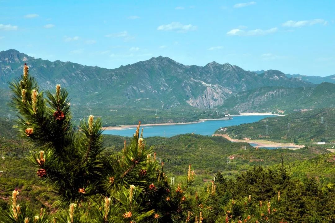 鳥語花香中盤旋上山,到達觀景臺,登高遠看靜謐的 燕山天池!