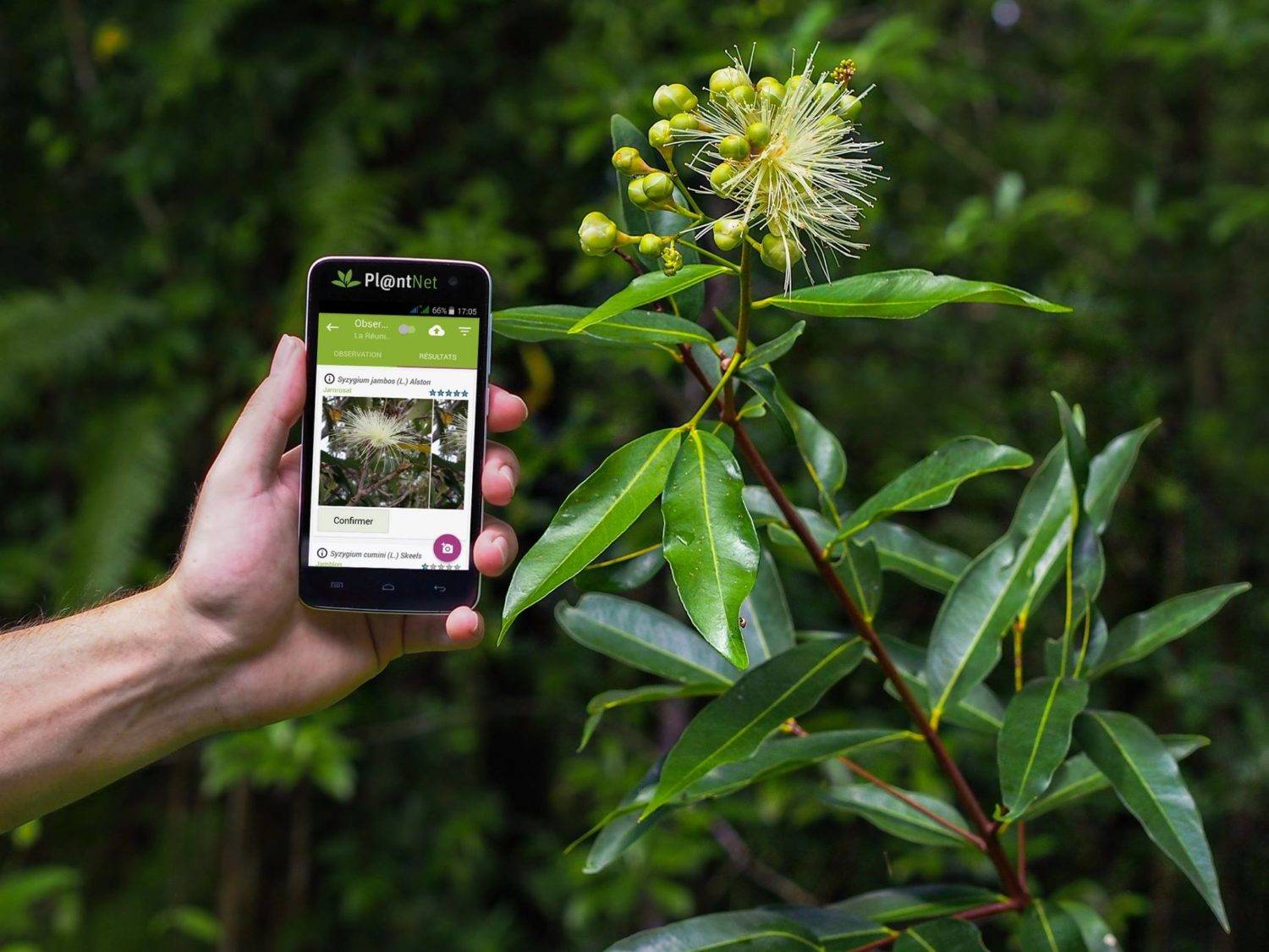 野外看的植物,哪种能吃?这7款国外app帮你成为植物专家上集