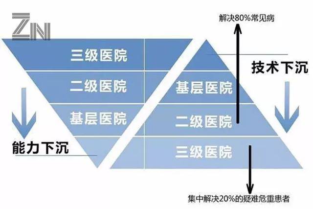 流动人口分类_人口流动(3)