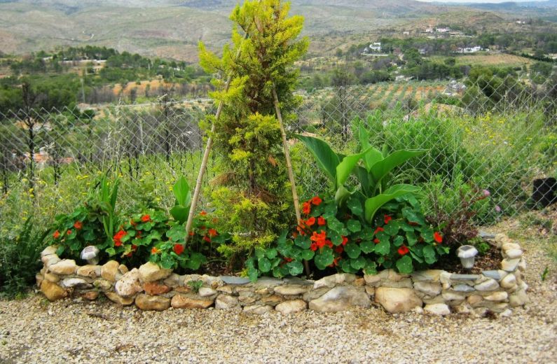 石头花盆则用来栽种天竺葵和三色堇,搭配