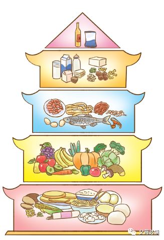 食物营养宝塔图简笔画图片