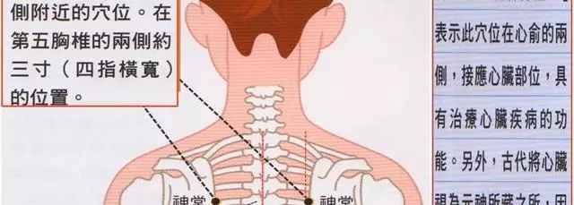 神堂的准确位置图图片