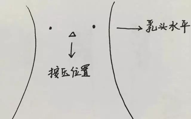 胸骨正中线与两侧乳头水平,或乳头水平下一指的交叉点按压深度:胸壁的