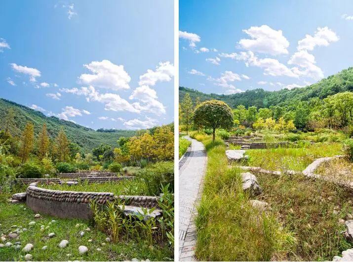 重慶園博園江南溼地公園