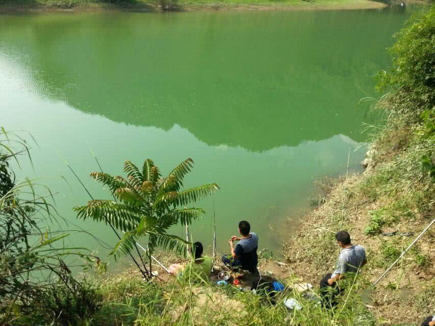 游钓山溪,钓获不知名的小鱼,摸起来比较丰满