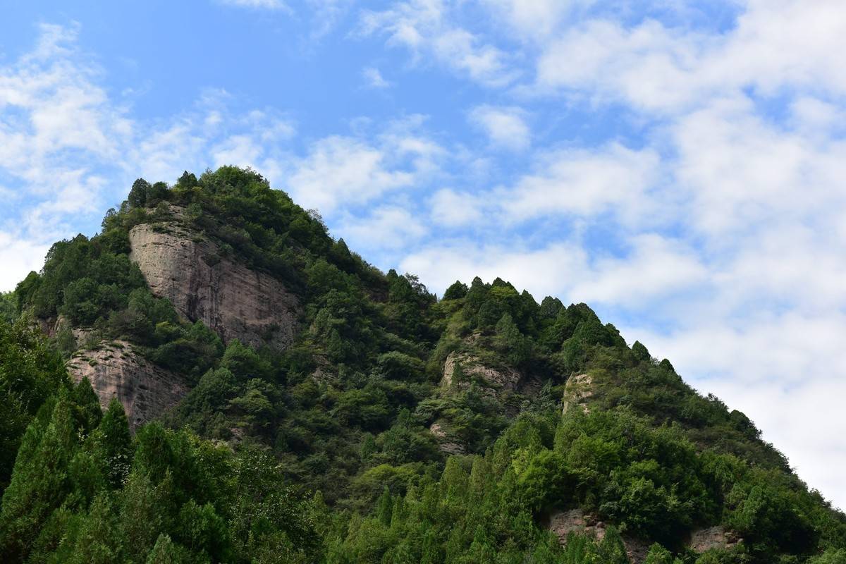 九龙山自然风景区在宝鸡市坪头镇新民村,庵里村,王家咀村,赵家山村四