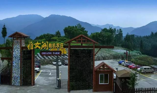 汽車露營地建在瓦屋山龍聖村雅女湖有機農莊內.