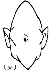 面相算命金木水火土五形純體取法要訣