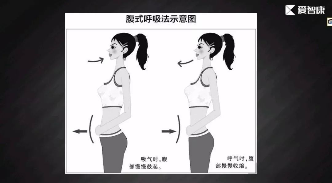 腹式呼吸原理图解图片