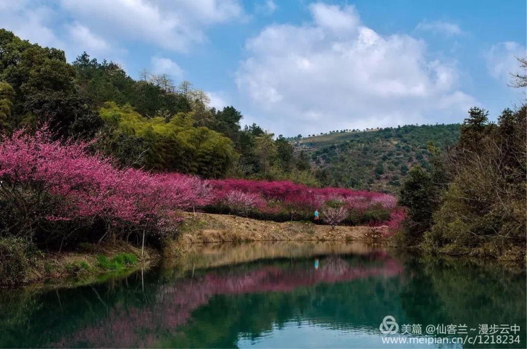 春江細雨不須歸青箬笠,綠蓑衣桃花流水鱖魚肥西塞山前白鷺飛唐