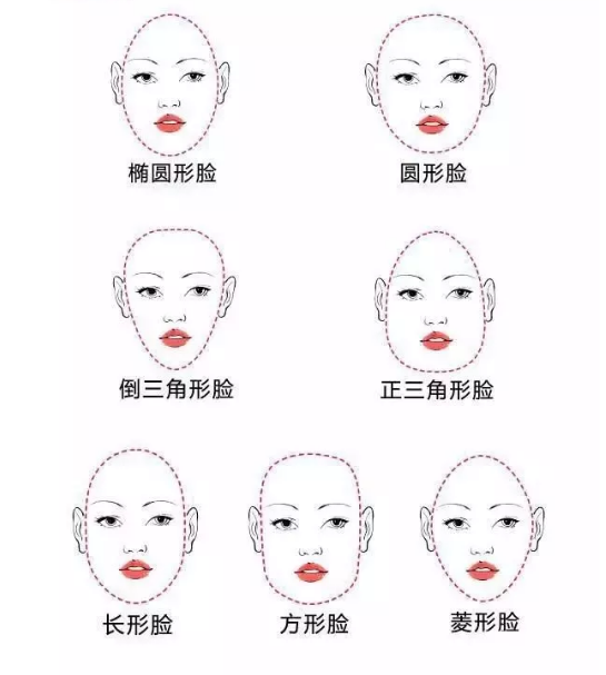 脸型结构示意图图片