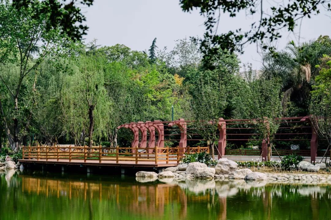 25歲的成都新華公園華麗歸來