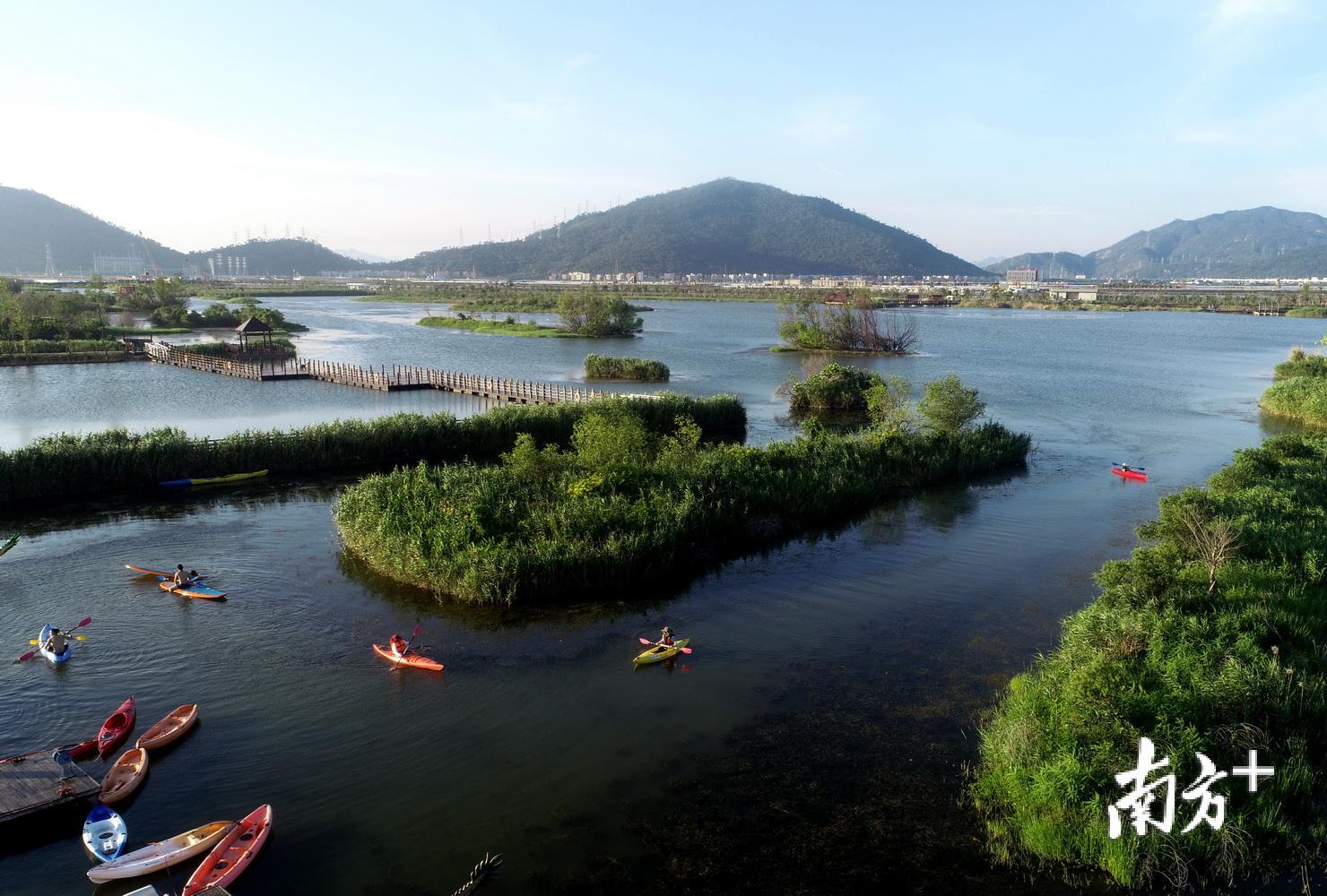 橫琴芒洲溼地公園,水天一色.清晨的桂山島,恬靜神秘.