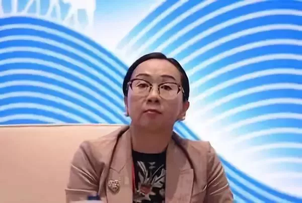 凯迪老总_杨凯迪图片