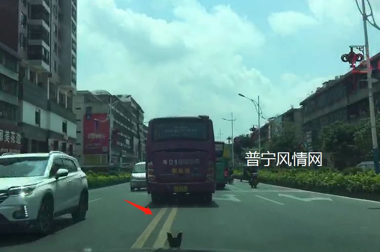 汕头车流沙大道疯狂抢道超车,这是置乘客于何地?