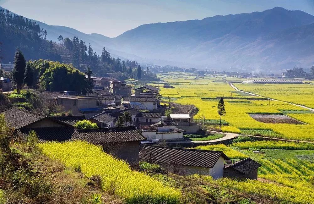 貓冬名城,消夏勝地——米易縣獲2018