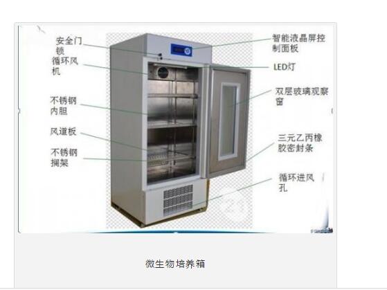 氧氣傳感器在微生物培養箱中的應用