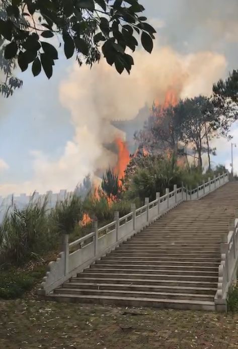 岑溪东山公园女尸图片