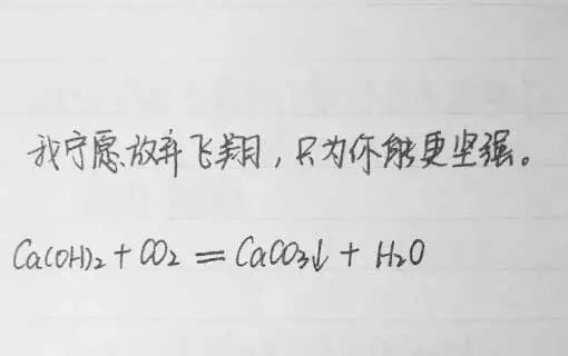 520学霸们表白的正确姿势理科生一旦浪漫起来就没文科生什么事了