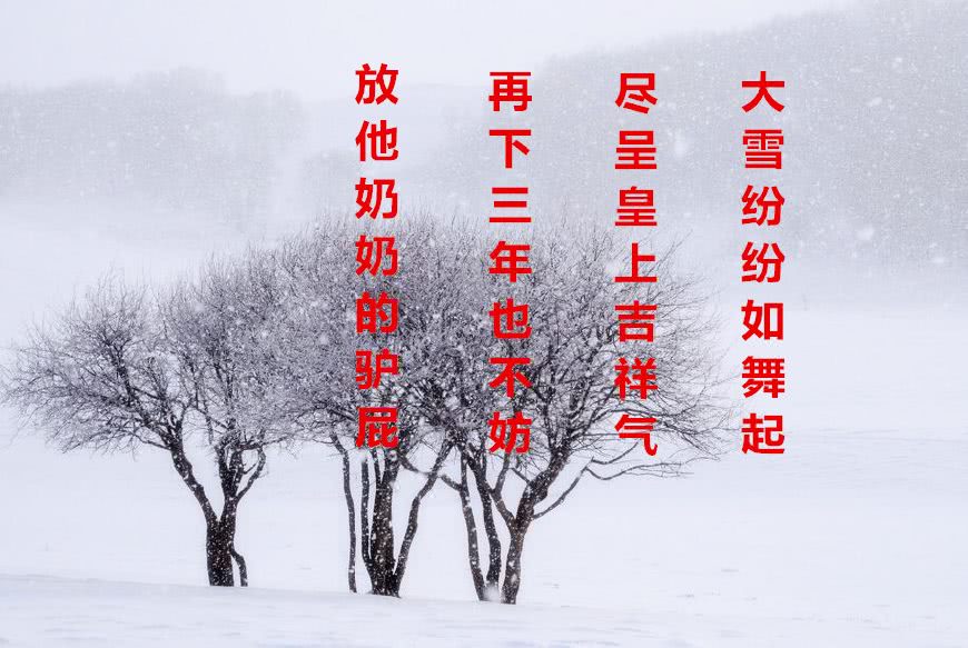 咏雪张打油图片