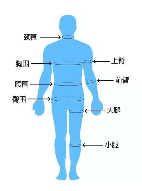 膝围怎么量图解图片