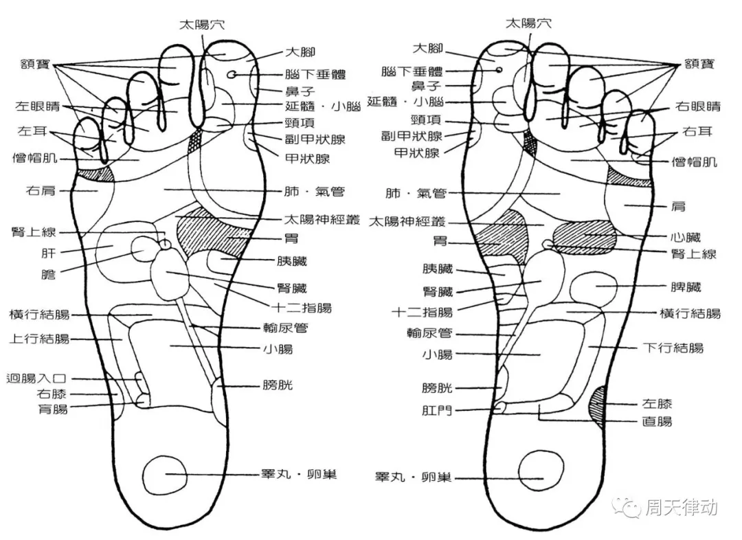脚底是人体最大的福田 按摩脚底穴位治百病|脚底|人体-养生·BAIZHI-川北在线