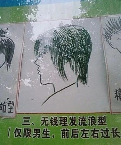 校园禁止的发型图例好形象好搞笑