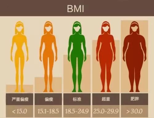 bmi指数男女标准图图片