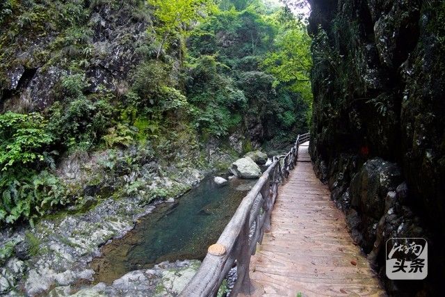 沉醉在瑶乡不思归去湖南这片原始森林看龙头三吊飞瀑溅玉湘黔古道石鉴