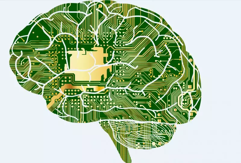 马里兰大学研究:人脑神经网络的动态变化和声音感知