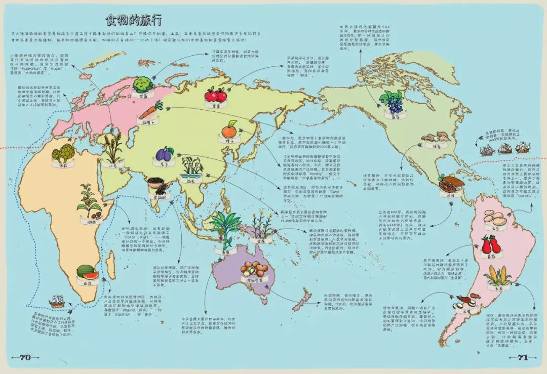 北京卫视美食地图图片